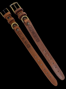 Pasja ovratnica z imenom